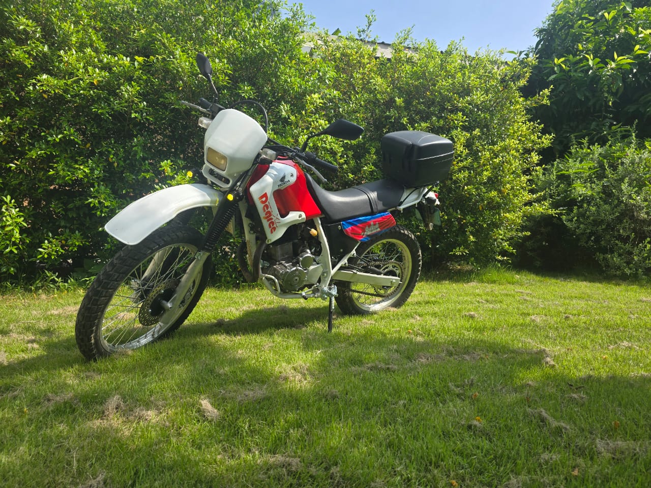 Honda 250cc DEGREE